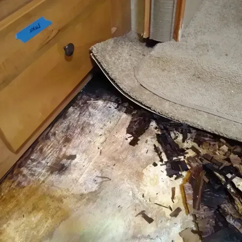 Best Wood Floor Water Damage Service in Wilmington, MA